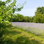 Podere Misericordia Pensjonat Ferrara