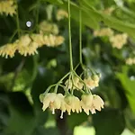 Podere Misericordia Pensjonat