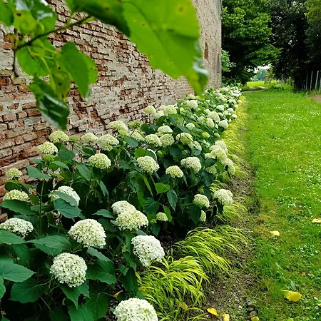 Podere Misericordia Gæstehus Ferrara