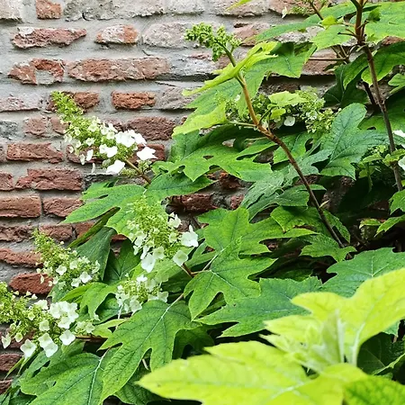 Podere Misericordia 3*