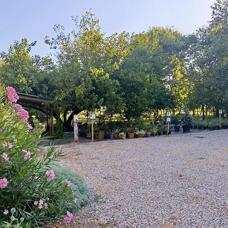 Guest house Podere Misericordia 3*