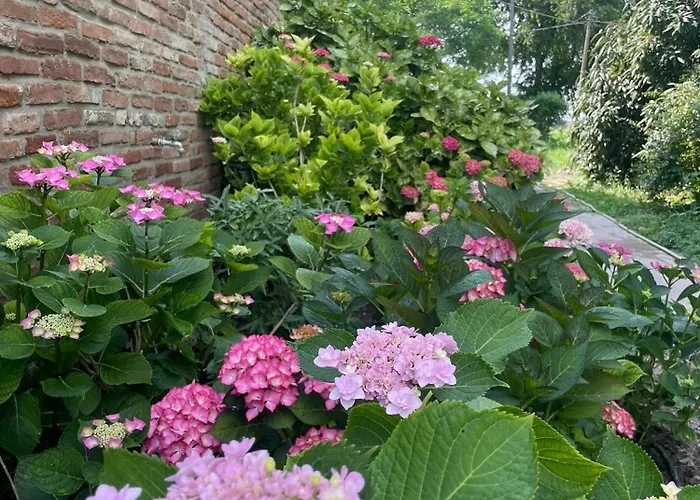 Vendégház Podere Misericordia 3*