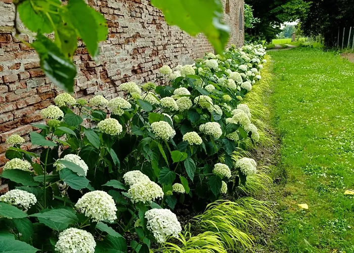 Podere Misericordia Pensión Ferrara