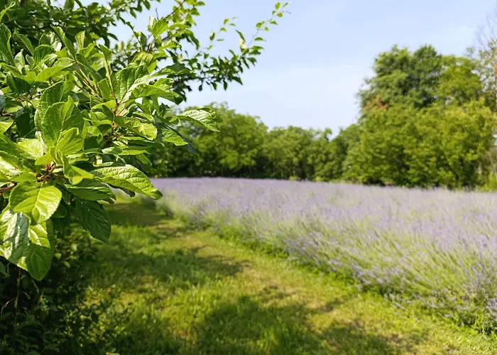 Podere Misericordia Pensión Ferrara