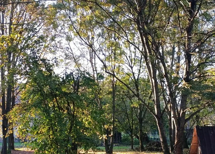 Podere Misericordia Ferrara