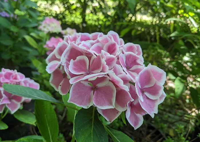 Pensión Podere Misericordia 3*