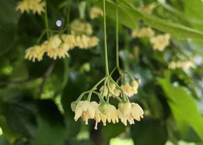 Podere Misericordia Vendégház