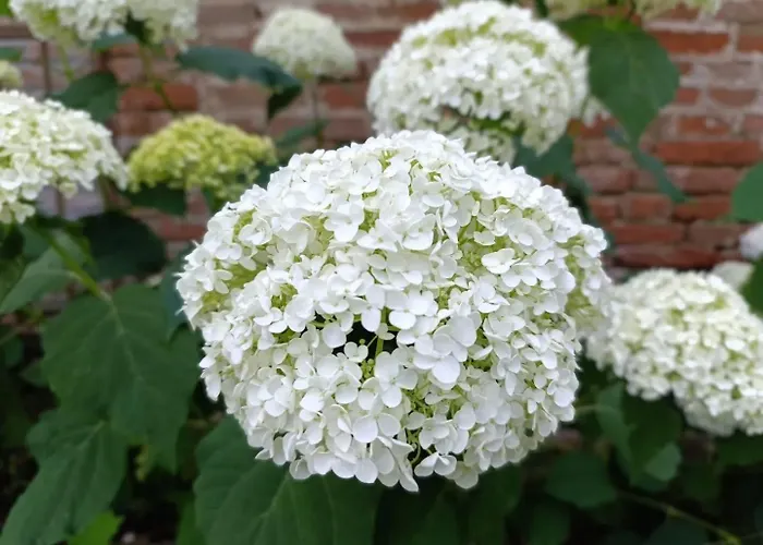 Podere Misericordia 3*