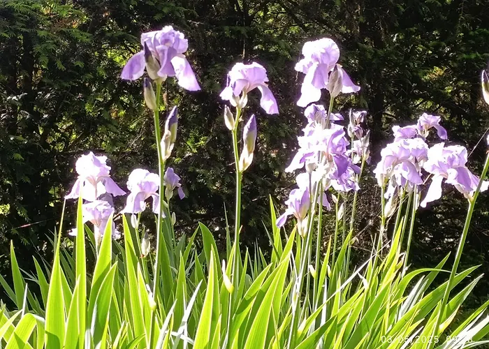 Podere Misericordia Vendégház Ferrara