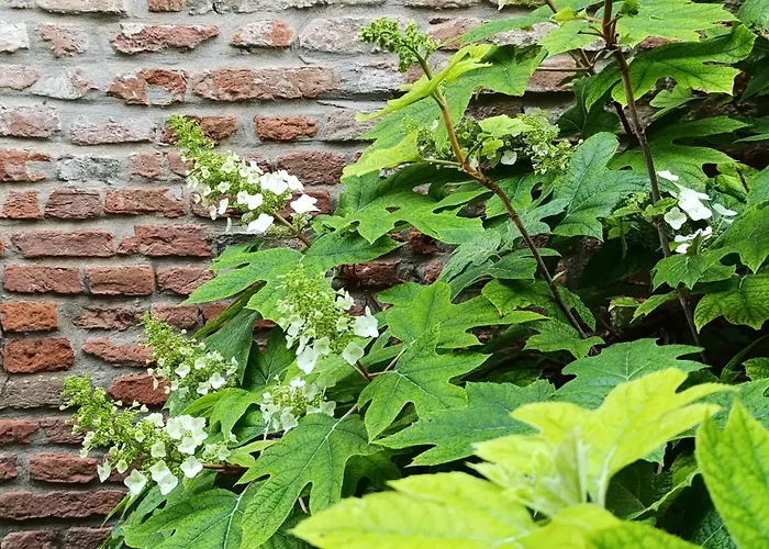 Podere Misericordia 3*