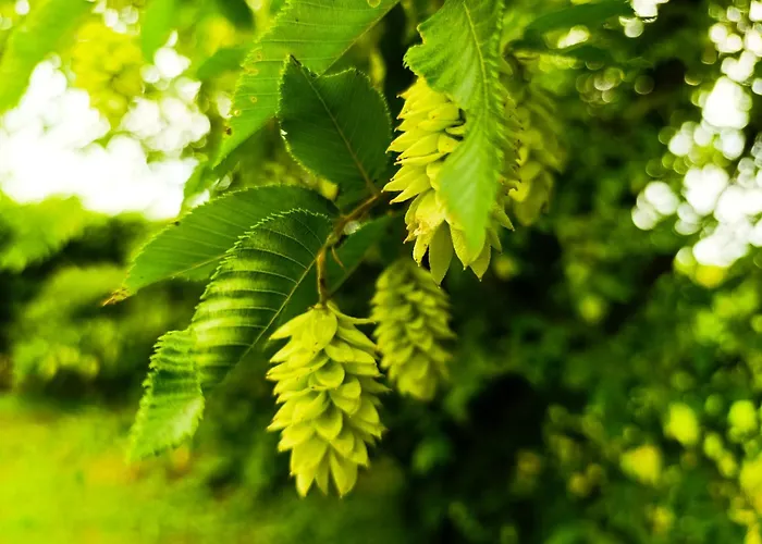 Podere Misericordia 3* Ferrara