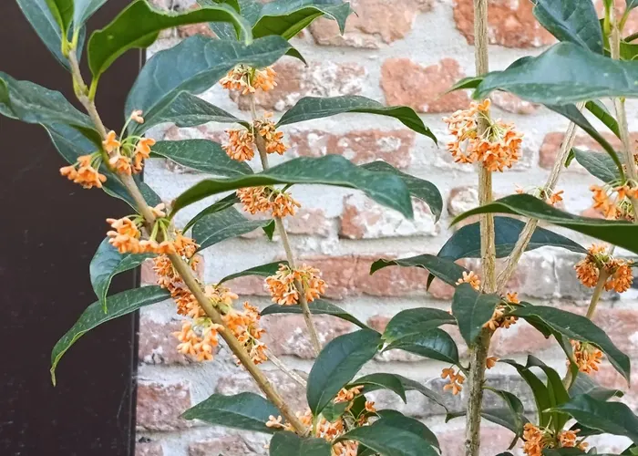 Podere Misericordia Ferrara